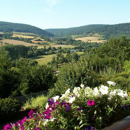 Pension Haus Erika Stadtprozelten Экстерьер фото