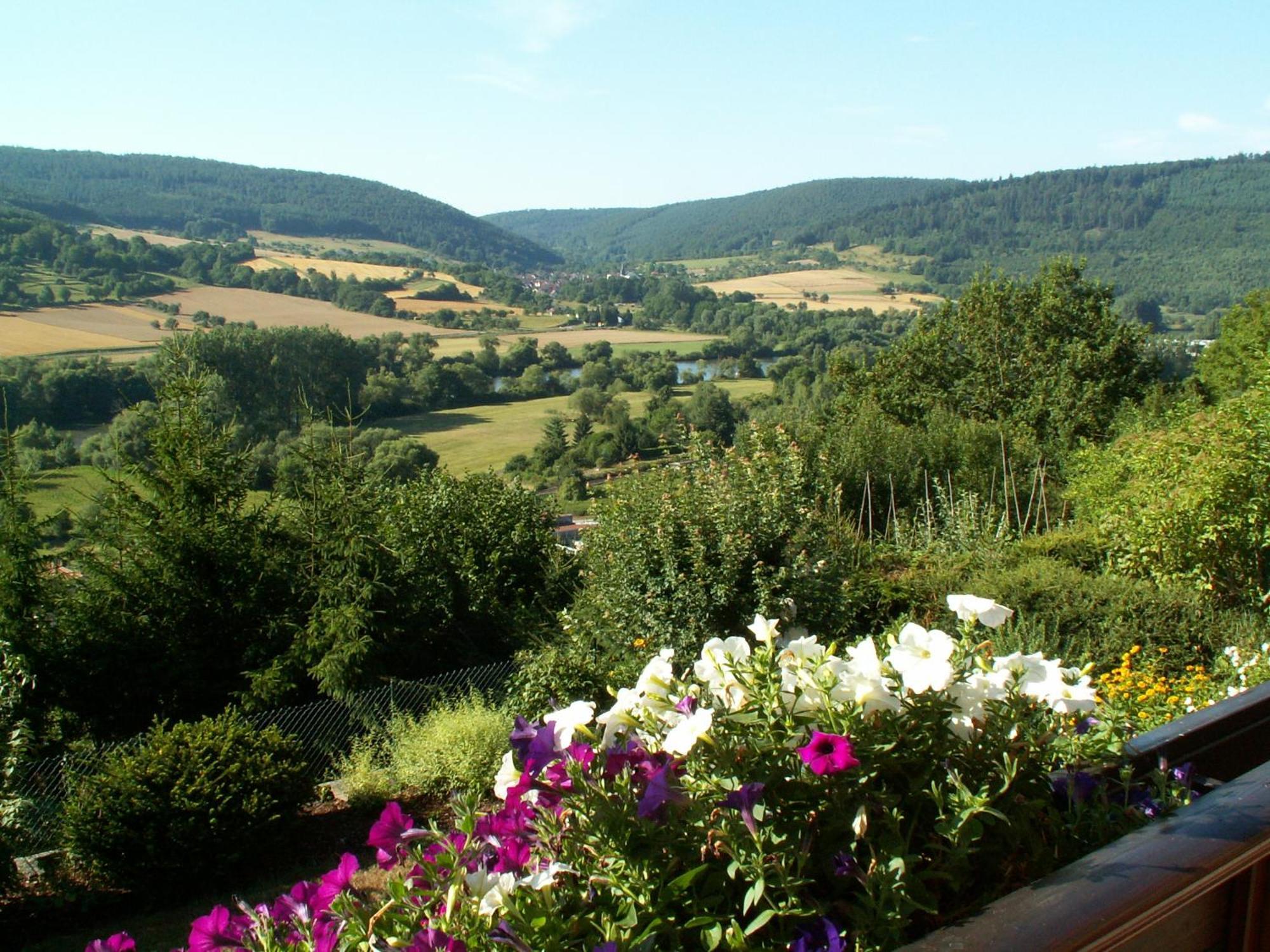 Pension Haus Erika Stadtprozelten Экстерьер фото