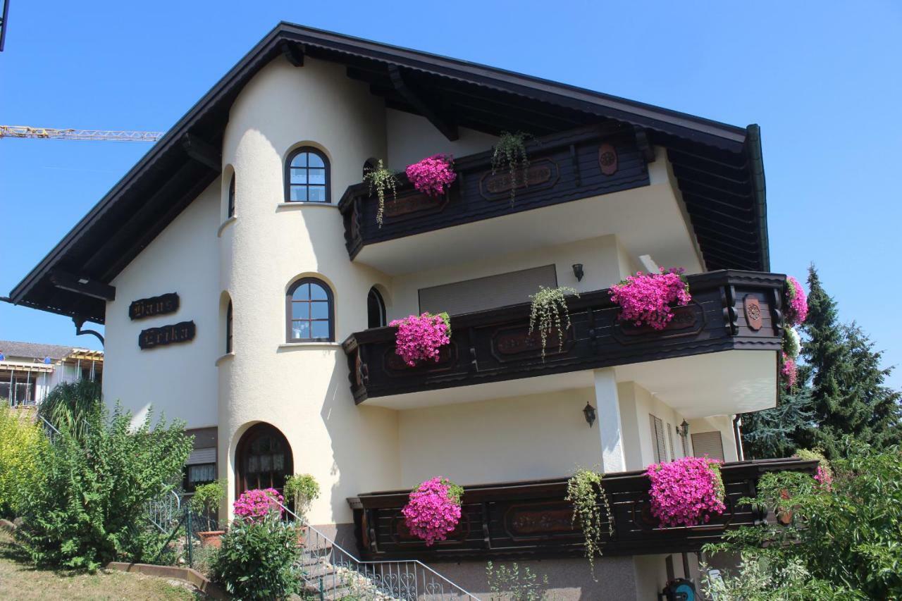 Pension Haus Erika Stadtprozelten Экстерьер фото